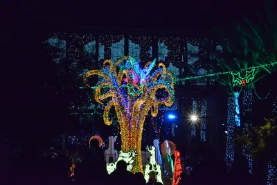 DSC_6973 (Large).JPG